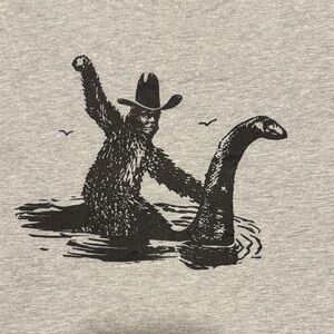 Next Level Apparel Gray Graphic Tee